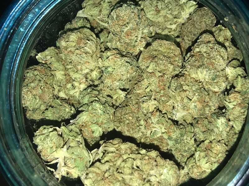 ak 47 strain for sale