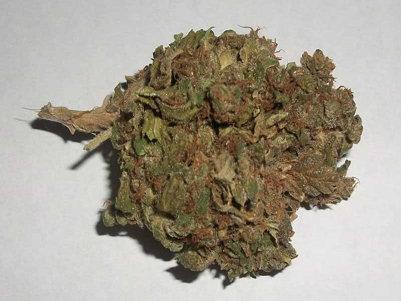 afghan kush for sale